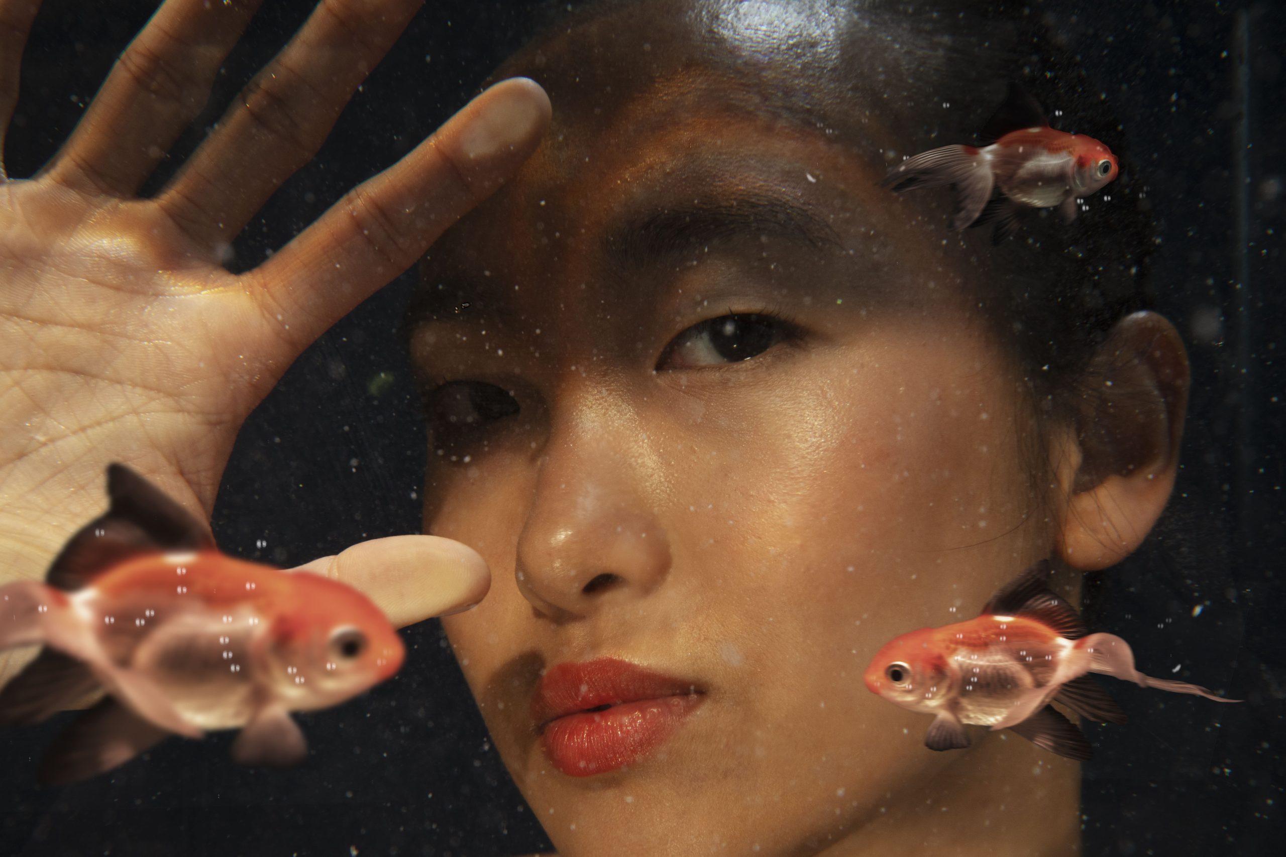 La belleza de un acuario